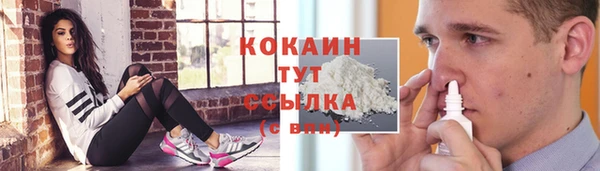прущий лед Алексин