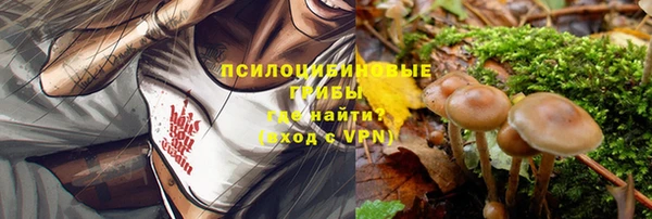 первитин Арсеньев