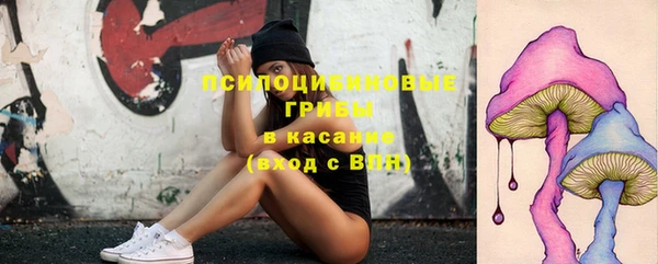прущий лед Алексин