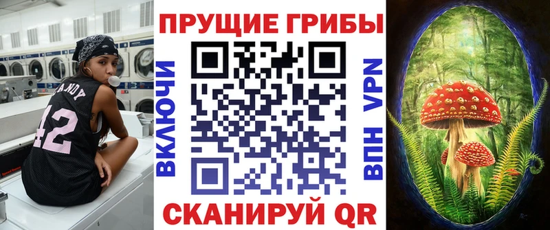 Псилоцибиновые грибы Psilocybe  Чехов 